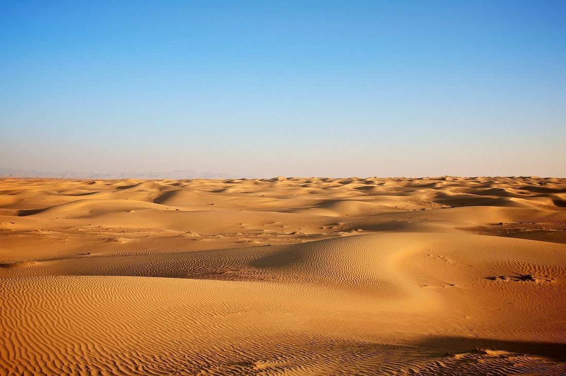 Tall orange sand dunes in the Liwa desert